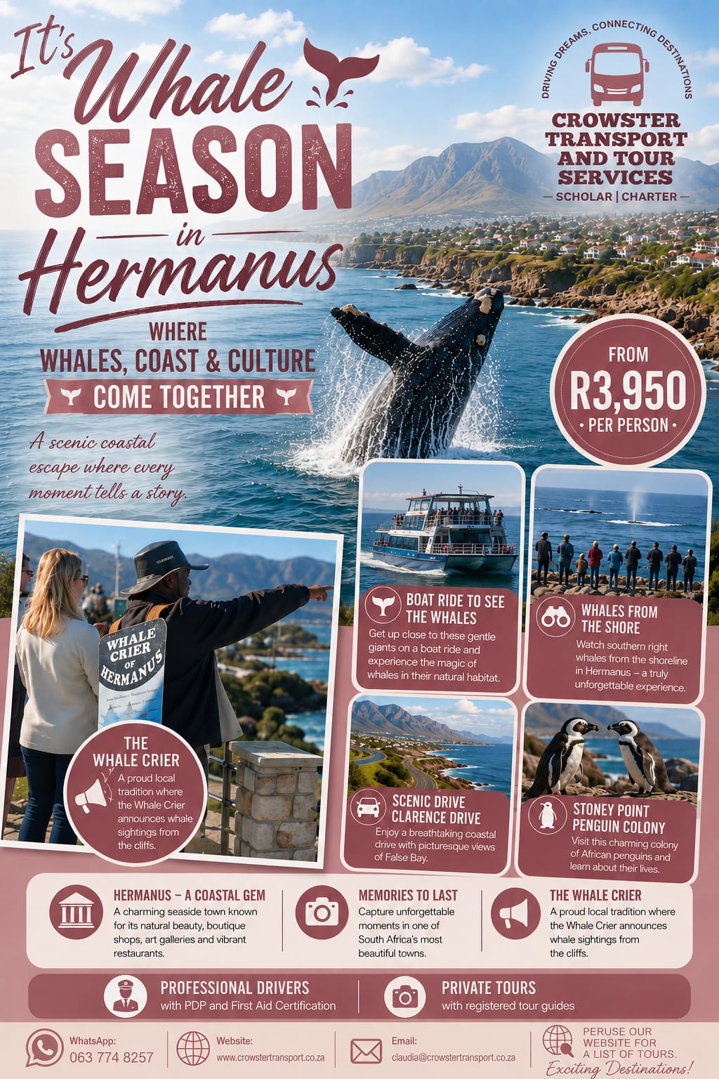 Whale watching season